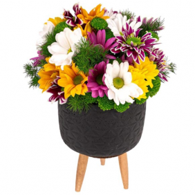 Altunizade Çiçek Siparişi Renkli Papatya Aranjmanı
